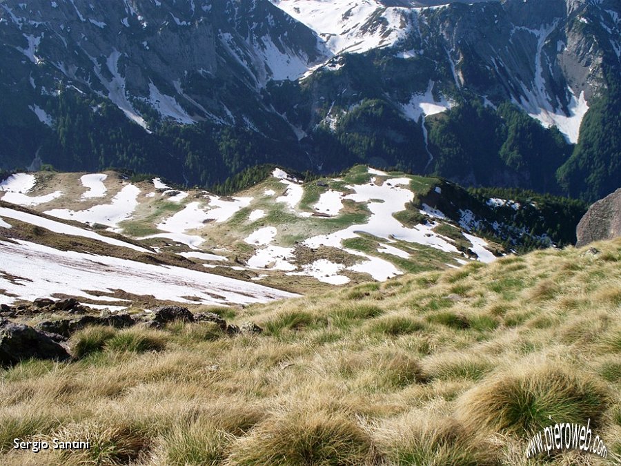 08 Pianoro della Baita Campo imbiancato dai fiori.JPG